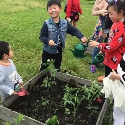 余杭十强星级酒店，豪华与舒适的极致住宿体验盘点