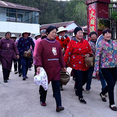 立春新闻速递，大地焕发生机，万物复苏启新篇