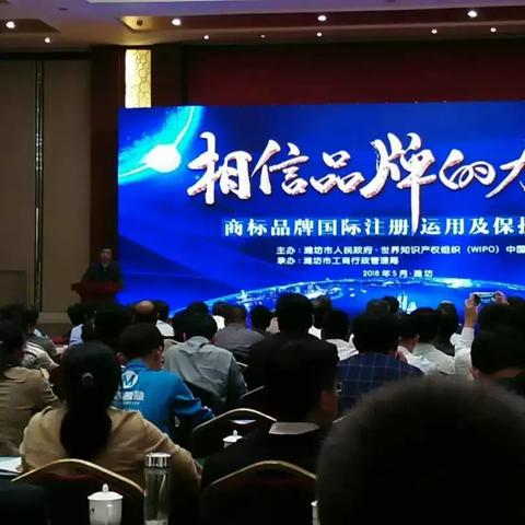 今日宏大大姜价格揭秘，市场走势与行业洞察