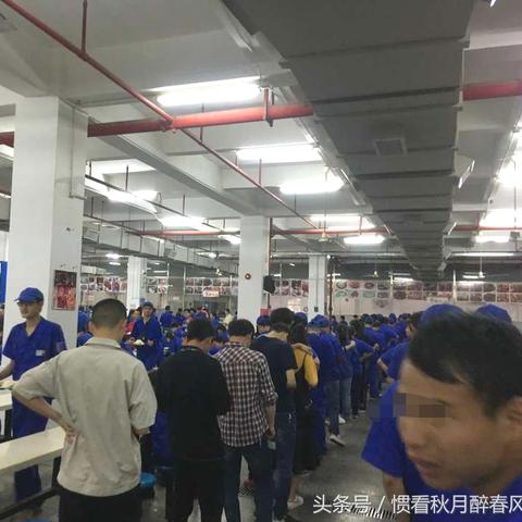 比亚迪食堂美食探秘，企业餐饮文化的独特魅力大放异彩