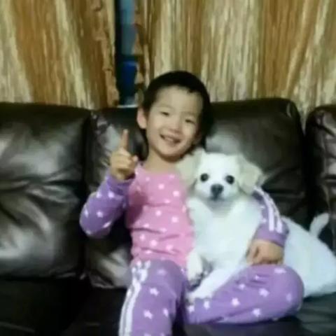 感人至深！与狗共度时光，狗的励志语录教你感悟人生之路！