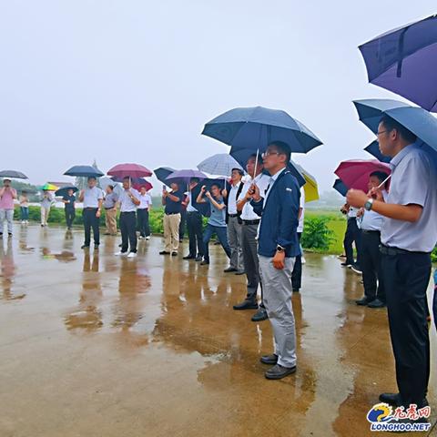 南京大学环境最新排行榜揭晓，探寻绿色校园顶尖排名！