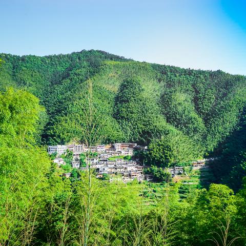 宏村旅游天气攻略，最新天气助你畅游！