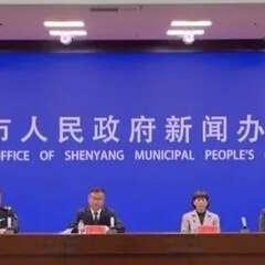 辽宁蔬菜产业掀起绿色革命，引领行业迈入崭新篇章