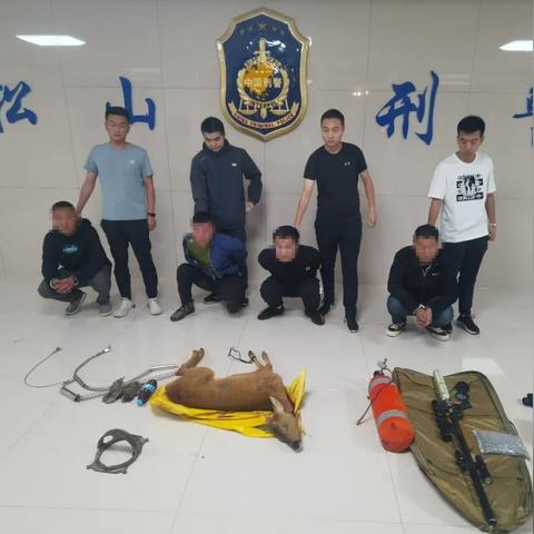 狩猎游戏热点话题全攻略，一网打尽最新攻略资讯！