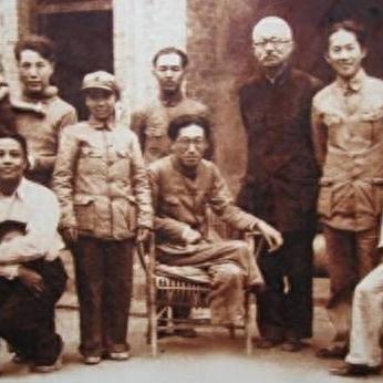 新疆假肢公司排名揭秘，行业影响力深度探讨