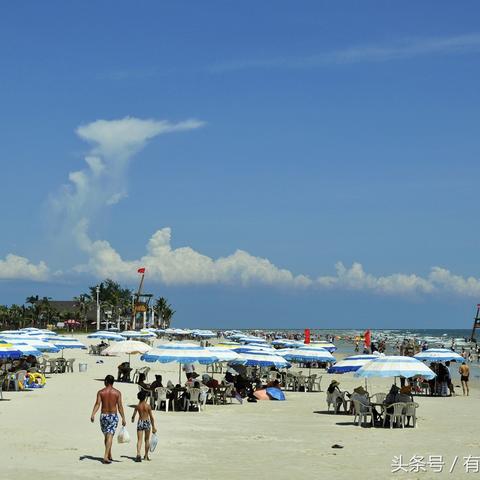大连至青岛旅游攻略，绝美海滨之旅，不可错过的精彩！