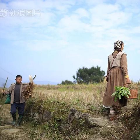 「揭秘深山旅游住宿秘籍，探索别样风情，体验独特魅力」