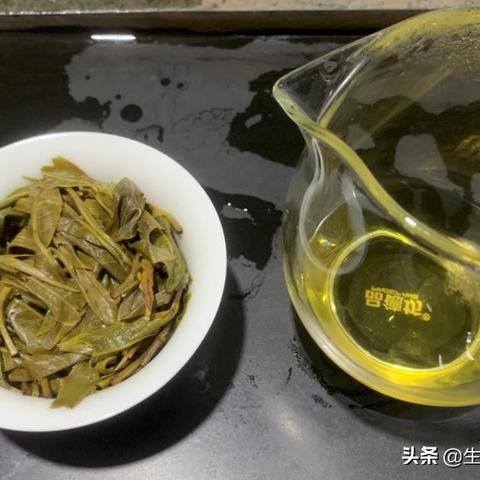 最新版纳攻略揭秘，自然与文化交相辉映的魅力之旅