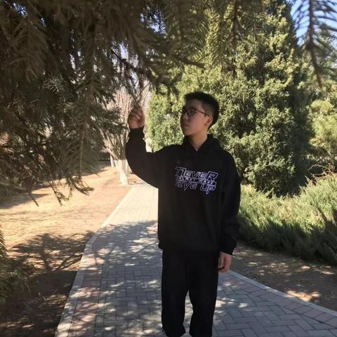 独家揭秘，百度热门特色网名大盘点！你绝对不能错过！