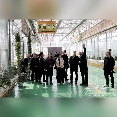 天水武山发展动态及亮点新闻头条速递