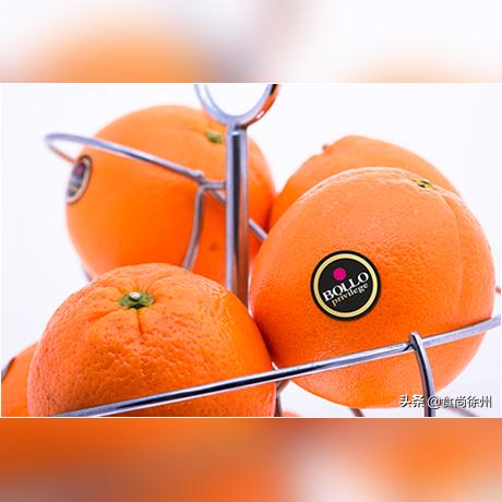 今日各大指数行情深度解析，最新动态一网打尽