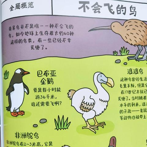 揭秘动物世界奥秘，百度带你启程探索之旅