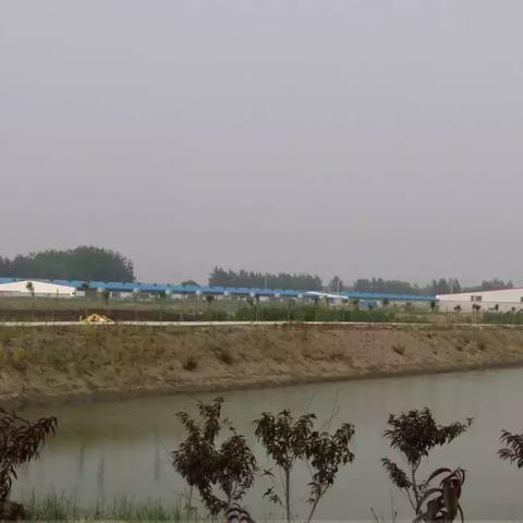 灭虫灯厂家公司排名大揭秘，行业领军者一览