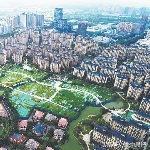 淄博新闻头条速递，今日焦点概览