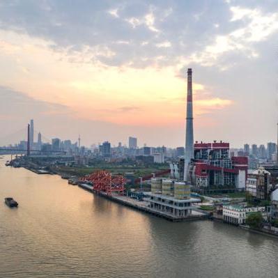 滨江今日疫情数据图表解析，最新动态一目了然