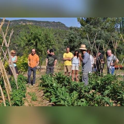 最新肉类价格查询表，洞悉市场变化，掌握餐桌消费情报