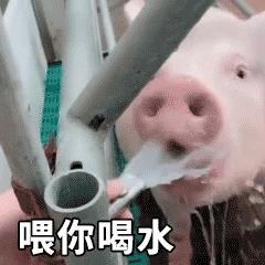 揭秘百度背后的奥秘，探索搜索巨头的神秘之旅