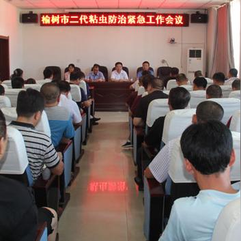 榆树最新新闻头条，城市动态与生活点滴速览