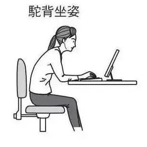 百度揭秘腰痛真相，探索腰痛成因与解决方案