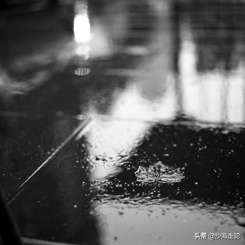 雨夜探索，神秘魅力的未知之旅，无需百度也精彩绝伦！
