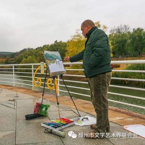 重磅推荐，邳州银杏秋日美景尽收眼底，最新视频抢先观看！