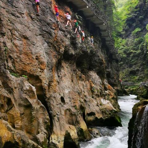 梵净山旅游攻略揭秘，自然仙境的神秘探索之旅