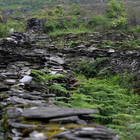 落土飞岩