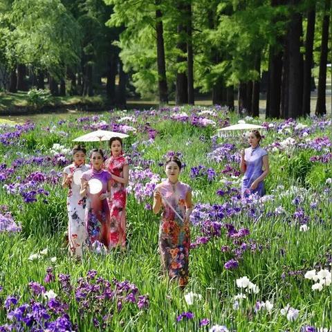 四季景苑价格走势揭秘，最新动态、深度解析与预测