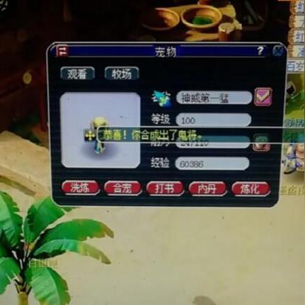 梦幻炼妖攻略，从新手到专家，轻松炼妖赚钱之路揭秘！