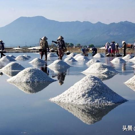 南方盐田发展动态，探索盐业新纪元，聚焦前沿发展资讯