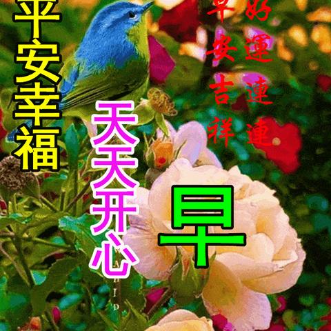 逆境中的力量源泉，回头微笑的励志语录