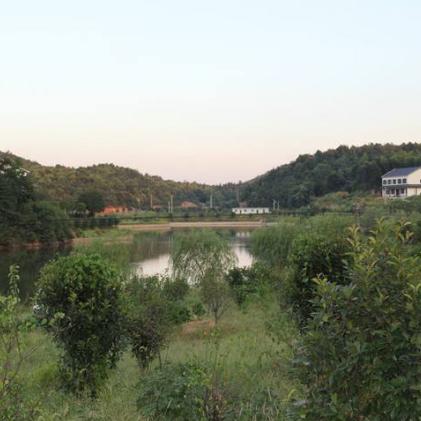 岳麓山亲子探险攻略，小孩旅游的最佳选择！