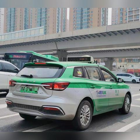 郑州今日猪价格行情大揭秘，最新走势分析与市场预测