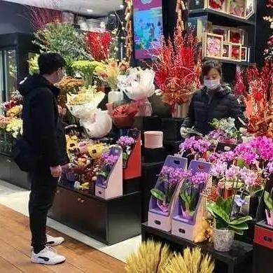 独家揭秘，上海旅游攻略大揭秘，探索魔都绝美风光体验！