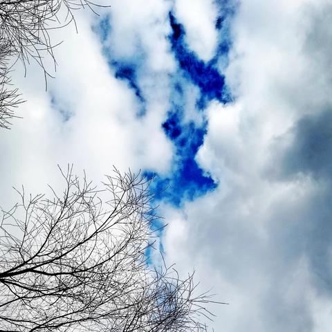 天气预报观察站——实时天气预报，轻松百度知晓天气变化