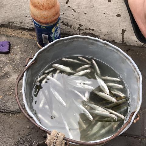 开封打牌新闻热点一网打尽