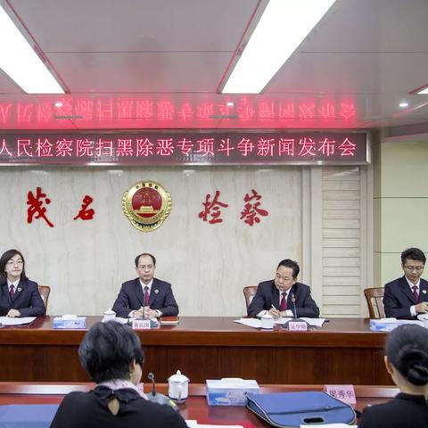 广东茂名最新新闻报道速递