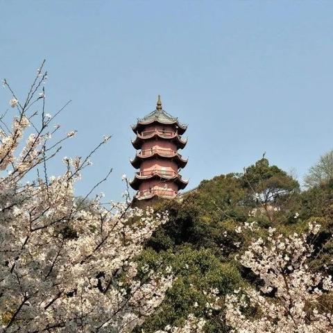 最新王者铭文攻略图揭秘，掌握搭配技巧，轻松登顶荣耀之巅！