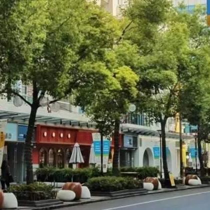 杨浦最新动态聚焦区域发展，头条新闻传递最新资讯