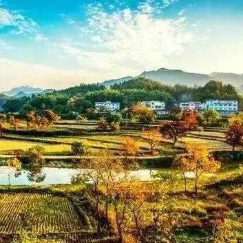 花罗田旅游攻略，探索美丽乡村，体验绝佳旅行！