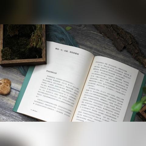 揭秘生命力量，万物生长背后的奥秘，百度一下探寻真相