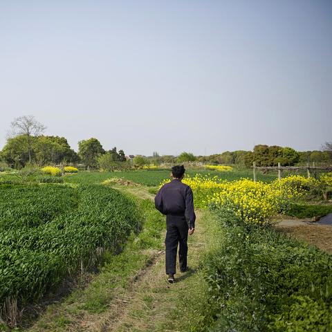 励志人生，语录摘抄与感悟——好人终得好报