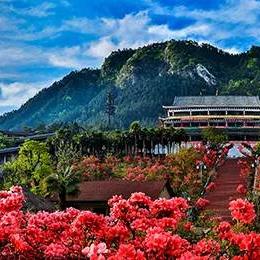 岳西旅游攻略，必游景点一网打尽！